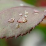 皇冠现金娱乐网站的热门游戏推荐与玩法技巧分享 3fg2w536yj