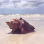 93期3d开奖结果最新公布,中奖号码全面揭晓 c8a6n