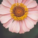 皇宫平台的活动与展览:感受皇家文化的多样性与丰富性 sb32cms