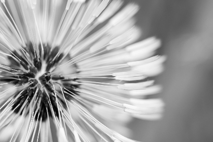 934888开奖日期已公布，敬请关注最新开奖信息