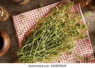 92期双色球开奖结果揭晓,亿元奖池花落谁家引关注