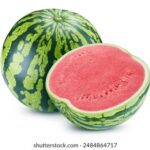 NBA西西直播精彩对决不容错过 9iw25uw5ro