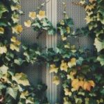 NBA视频直播第三节激烈对决,谁将主宰比赛关键时刻? jqxvli