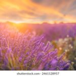 NBA美国直播网站推荐:免费高清观看全赛季精彩赛事 tsatno9